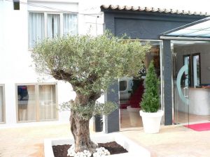 Boutique Bon Repos – Adults Only